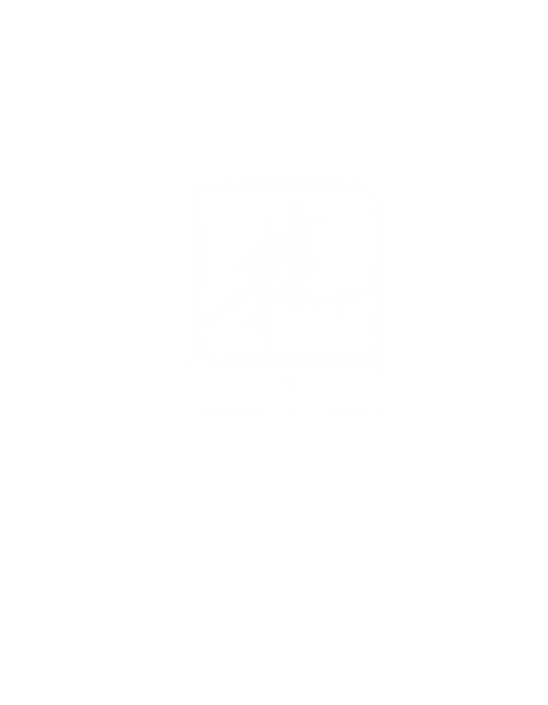 Hammered Steel Syndicate 